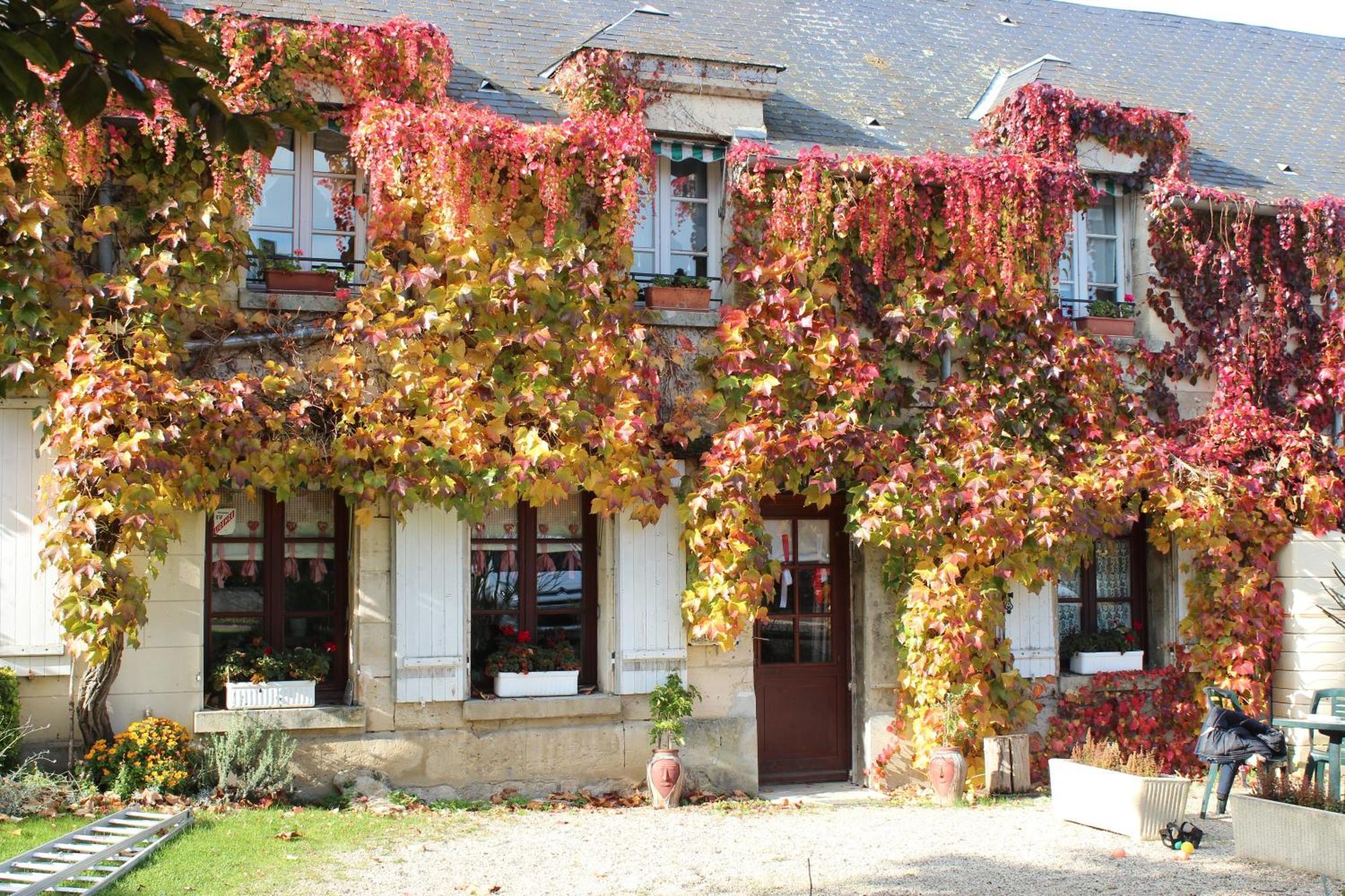 Ma Gentilhommiere Bed & Breakfast Croutoy Exterior photo